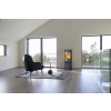 Чавунна піч Jotul F 378 Advance, фото 6, 213528грн